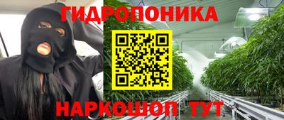 apvp Нальчик