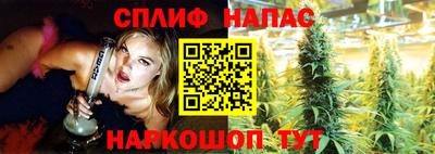 apvp Нальчик