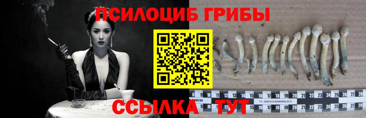 Галлюциногенные грибы мухоморы  Галлюциногенные грибы Psilocybine cubensis  Вход с VPN  Сургут 